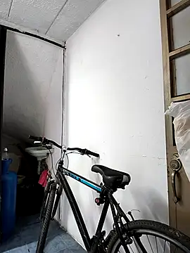 haashkyo online show from 11-29-25, 07:36