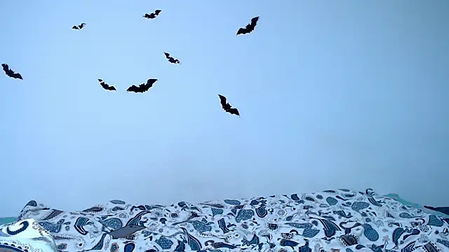 litle owl online show from 11-09-25, 06:23