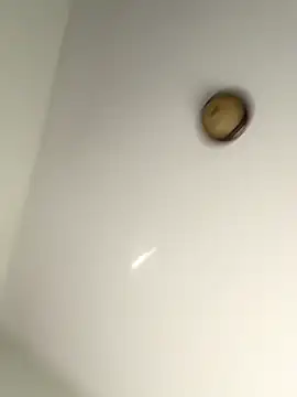 lilcubangoddess online show from 10-28-25, 02:27