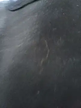 CWQ123 online show from 11-17-25, 11:36