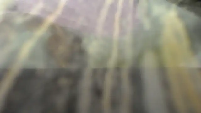 habdiela online show from 10-28-25, 04:46