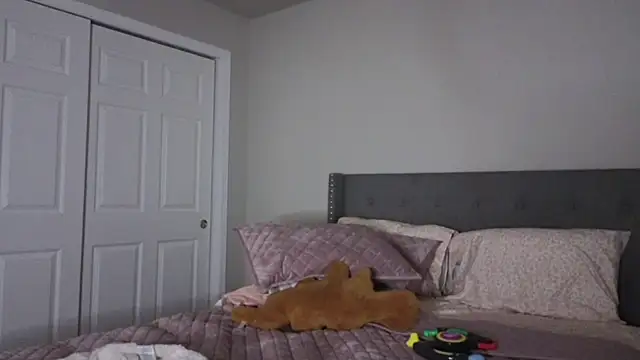 Snapshot of bambifarrina chatting on 10-02-25, 01:53 bambifarrina online show from 10-02-25, 01:53