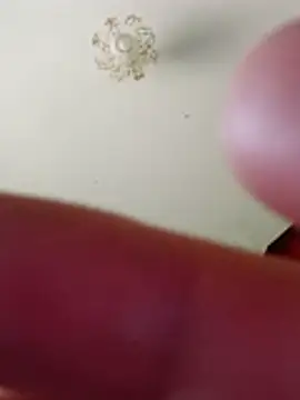 bullut06 online show from 02-10-26, 10:25