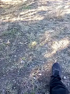 bullut06 online show from 09-23-25, 06:42