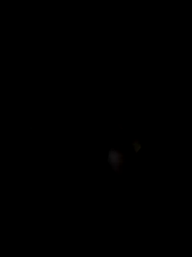 1n0nlythroat online show from 09-14-25, 11:43