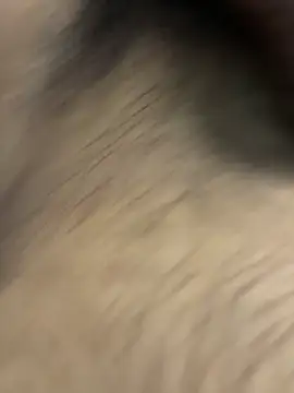 jackey3193 online show from 04-12-26, 01:25