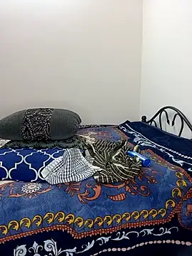 Chadni kannada online show from 02-28-26, 04:50