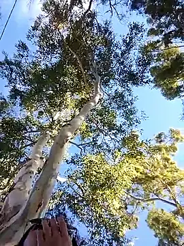 M4tute online show from 04-17-26, 07:49