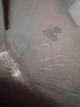 Snapshot of Pio185 chatting on 02-24-26, 10:32 Pio185 online show from 02-24-26, 10:32