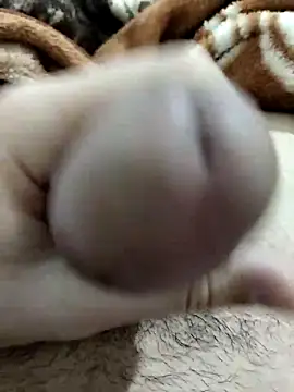 Zepe 12 online show from 03-01-26, 10:10