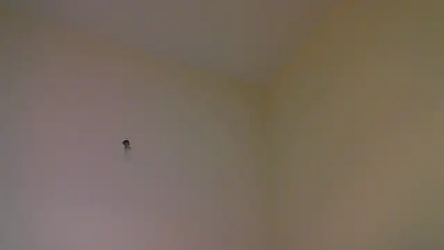 str8matesirishoz online show from 10-15-25, 04:00