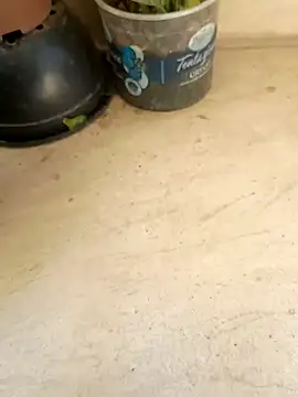 Jogandor777 online show from 09-11-25, 01:33