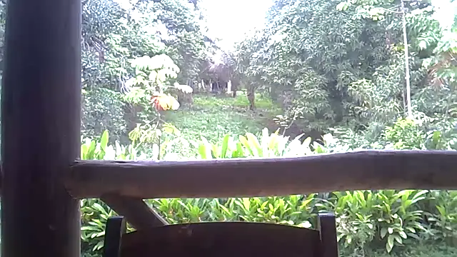 Blue Liz online show from 11-10-25, 02:44