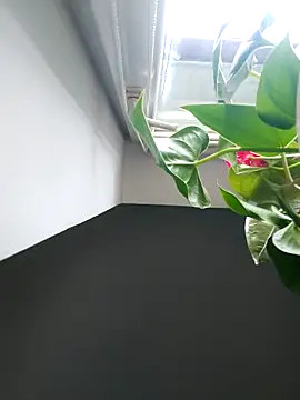 Czarnoksieznik online show from 11-02-25, 12:10