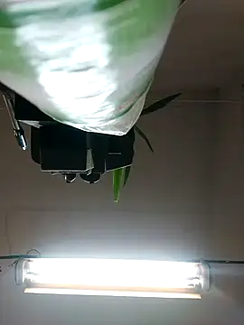 Czarnoksieznik online show from 10-27-25, 04:52