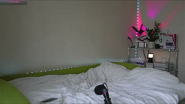 Snapshot of BoyTurtle chatting on 11-09-25, 11:14 BoyTurtle online show from 11-09-25, 11:14