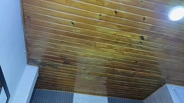 Bonnali lune online show from 04-19-26, 04:46