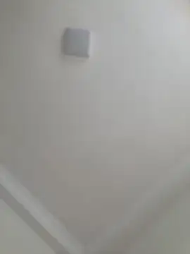 JuanitaMore01 online show from 10-23-25, 08:51