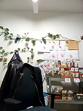 TerezaVelvet online show from 11-06-25, 06:28