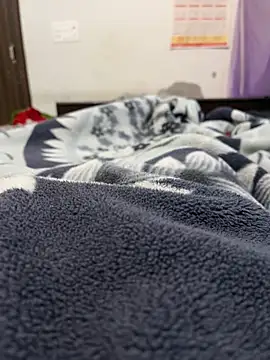 jackyw online show from 11-04-25, 11:58