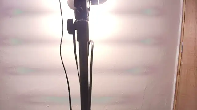 Terraelowen online show from 02-25-26, 11:32