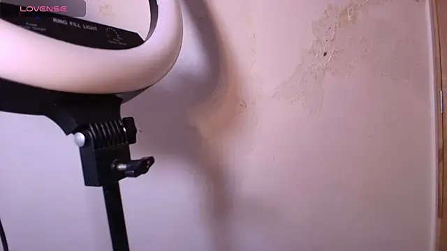 Terraelowen online show from 11-29-25, 11:32