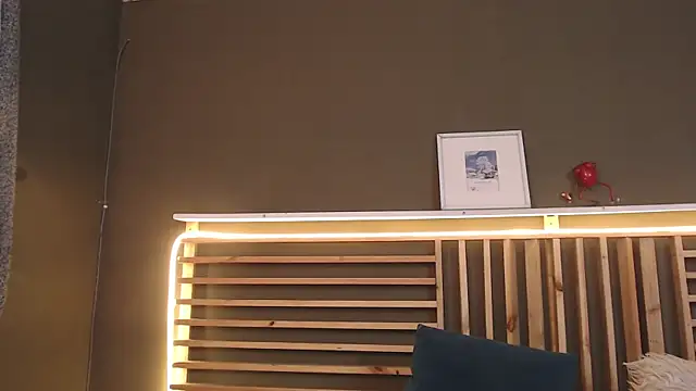 Snapshot of PaulEvens chatting on 09-12-25, 01:33 PaulEvens online show from 09-12-25, 01:33