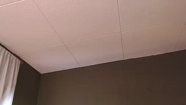 PaulEvens online show from 12-05-25, 01:32