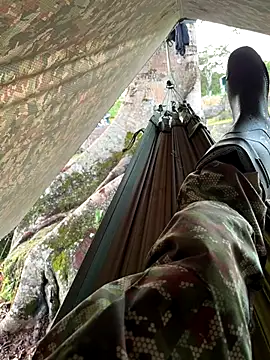 Alabestia12 online show from 11-11-25, 11:27