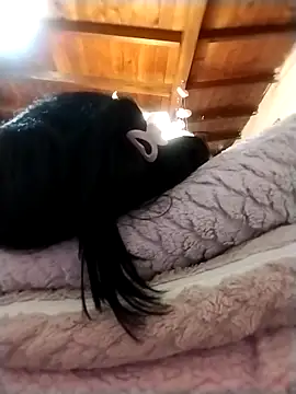 solpeich online show from 10-15-25, 03:05