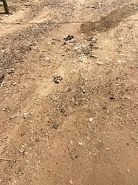 Jaydemasked online show from 11-26-25, 11:10