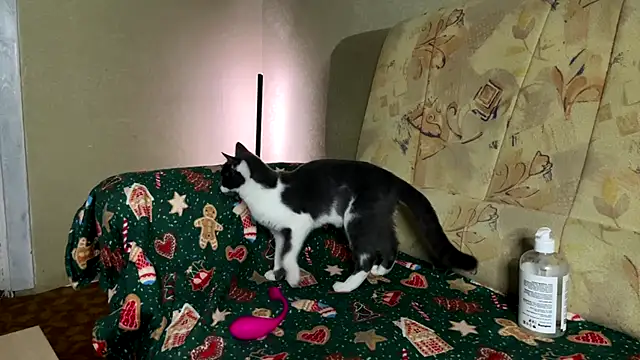 Marinpeach online show from 02-23-26, 03:12