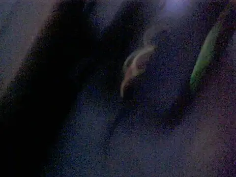 Dotadobelempa online show from 01-16-26, 04:38