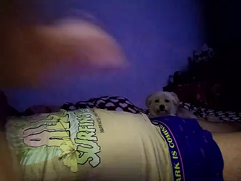 Snapshot of Alexandra23d chatting on 10-02-25, 09:18 Alexandra23d online show from 10-02-25, 09:18