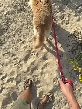 haramnarab online show from 10-28-25, 12:37