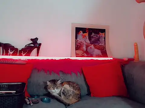 vicky gill online show from 10-17-25, 07:37