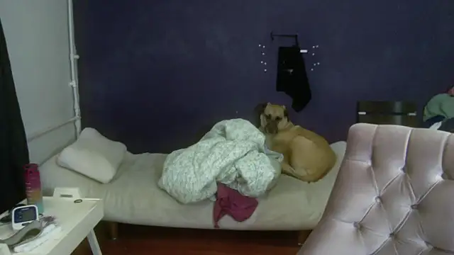 turkishTransEfsun online show from 11-03-25, 10:08