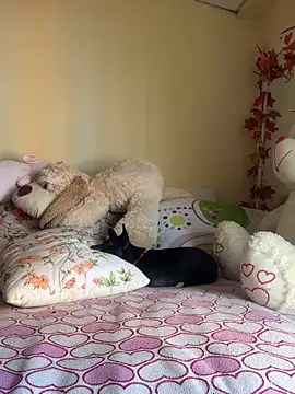 MiaRousexxx  online show from 11-26-25, 08:31