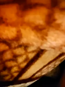 monty935 online show from 12-22-25, 06:19