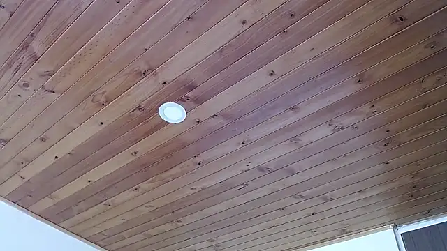 IVONNE COLLINS33 online show from 09-21-25, 02:22