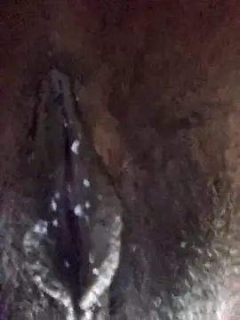 xnmx26 online show from 03-29-26, 02:57