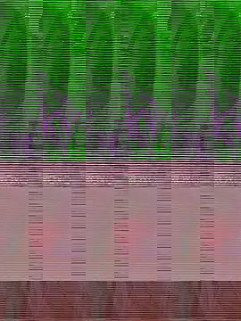 Snapshot of riyanag2 chatting on 10-11-25, 07:15 riyanag2 online show from 10-11-25, 07:15