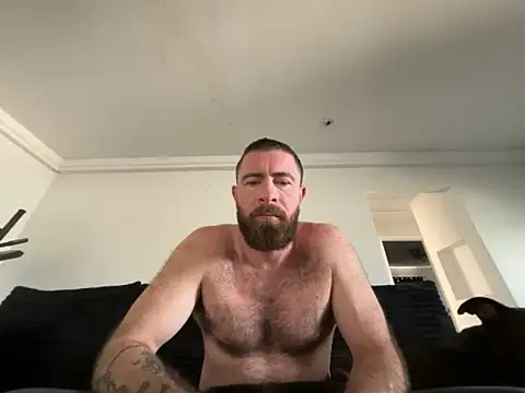 biggdickbandit92 online show from 03-10-26, 02:54