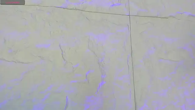 CarolineLee  online show from 02-11-26, 10:42