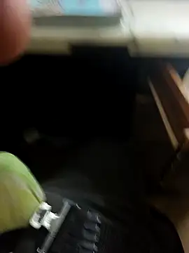 Snapshot of hotboy43339 chatting on 02-08-26, 05:05 hotboy43339 online show from 02-08-26, 05:05