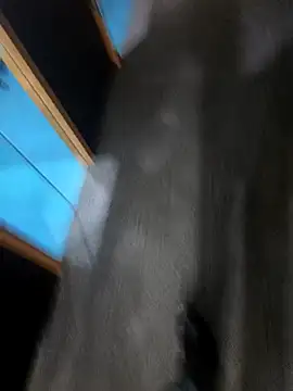 Snapshot of hotboy43339 chatting on 03-01-26, 03:06 hotboy43339 online show from 03-01-26, 03:06