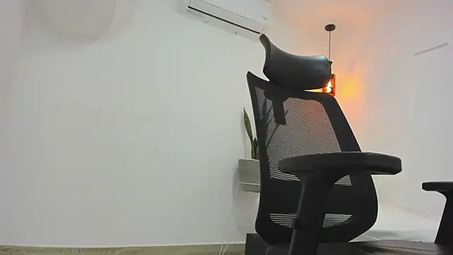 damian bull online show from 11-01-25, 08:36