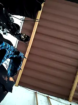 damian bull online show from 11-24-25, 09:15