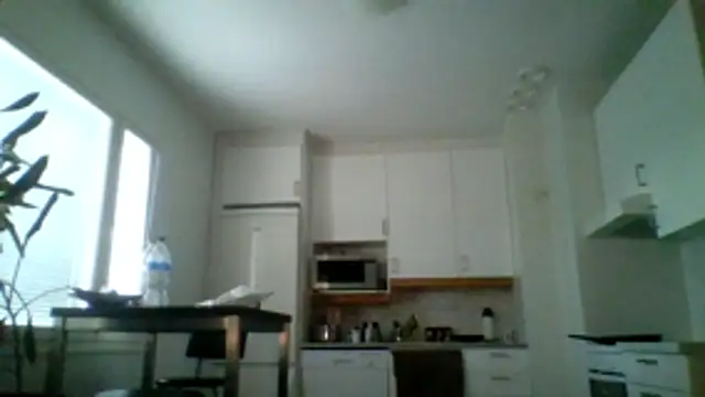 Snapshot of Silverhippo chatting on 05-20-26, 06:16 Silverhippo online show from 05-20-26, 06:16