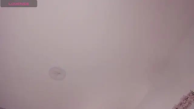 Laureen se online show from 02-03-26, 02:53